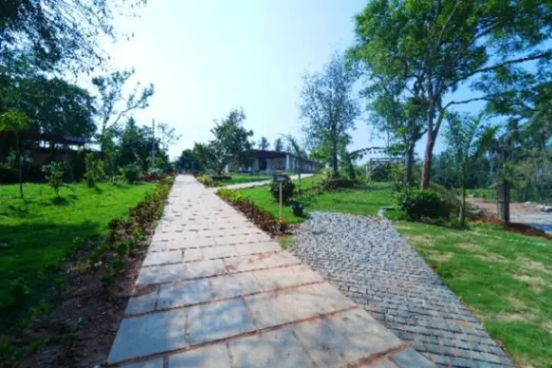 Alpha Wellness sanctuary grounds