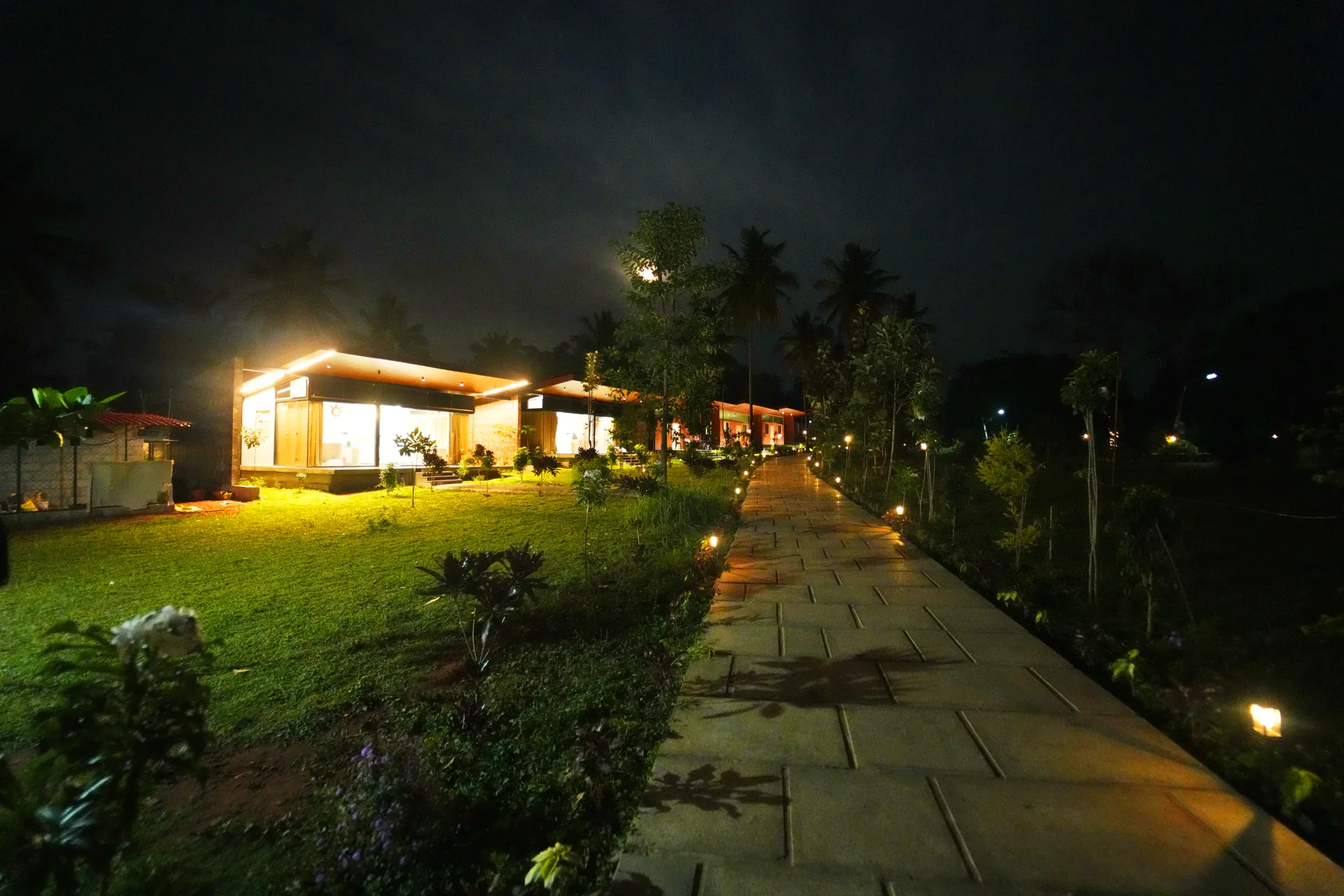Sanctuary forest pathways